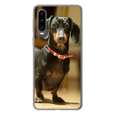 Produktbild von MuchoWow® Handyhülle Schutzhülle Hülle für Huawei P30 Porträt eines schwarzen Dackels Silikon Softcase Handy Hülle - Kartenbesitzer