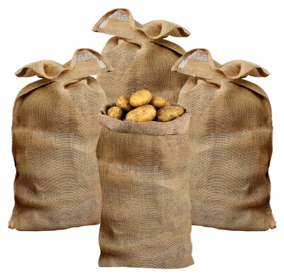 Produktbild von 4 Stück Jutesäcke, Kartoffelsack, Stoffbeutel, 100 x 60 cm, Jutebeutel, Winterschutz für Topf- und Kübelpflanzen, Pflanzenüberwinterung, Gartensack, strapazierfähig, Raschelsäcke