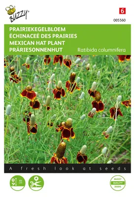 Produktbild von Präriesonnenhut | Sonnenhutsamen von Buzzy Seeds