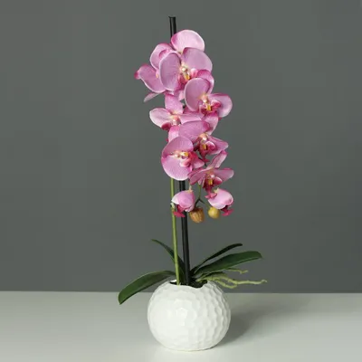 Produktbild von künstliche Orchidee, Phalaenopsis pink in weißem Topf H. 46cm DPI Kunstblumen