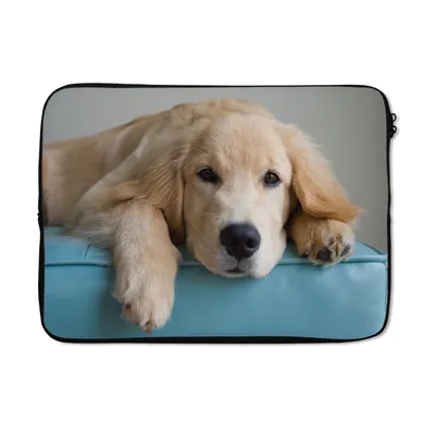 Produktbild von MuchoWow® Laptop Hülle 14 ZollEin liegender Golden Retriever Laptoptasche - Laptoptasche - Stoßsicher - Schutzhaube