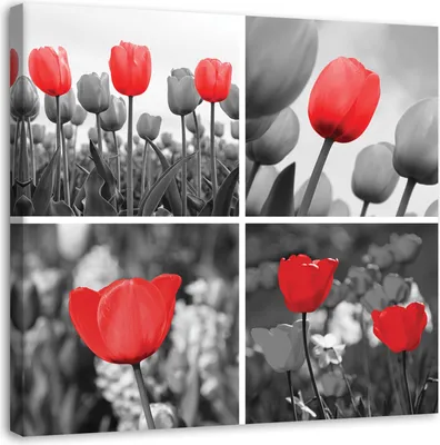 Produktbild von Leinwandbild rote tulpen blumen collage 60x60 cm Feeby rot wandbild bereit zum aufhängen