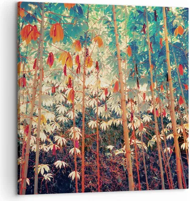 Produktbild von Bild auf Leinwand - Leinwandbild - Einteilig - Pflanzen tropisch orange - 60x60cm - Wand Bild - Wanddeko - Wandbilder - Leinwanddruck - Bilder - Wanddekoration - Leinwand bilder - AC60x60-4393