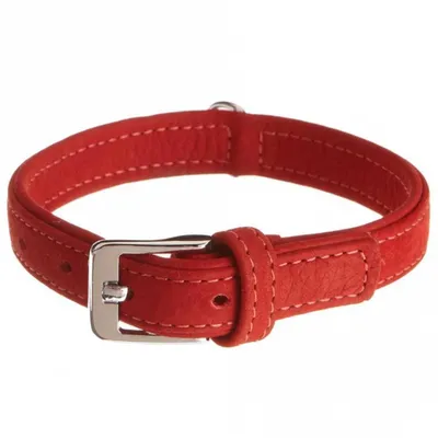 Produktbild von Karlie Halsband Buffalo aus Kalbsleder - Rot - 65 cm/40 mm