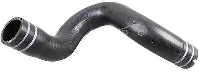 Image de METZGER Tuyau de radiateur Tuyau d'eau pour FIAT QUBO (225) 2420980