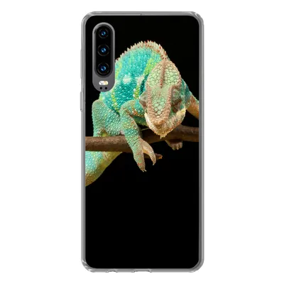 Produktbild von MuchoWow® Handyhülle Schutzhülle Hülle für Huawei P30 Chamäleon - Zweig - Pastell Silikon Softcase Handy Hülle - Kartenbesitzer