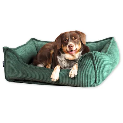 Produktbild von 4L Textil HUGO Orthopädisches Hundebett aus Cord Premium-LINE Hundekorb mit Bezug (100x80 cm, Grün)