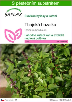 Obrázek produktu pro SAFLAX - thajská bazalka - Ocimum basilicum - 200 Semena - S pěstebním substrátem bez klíčků