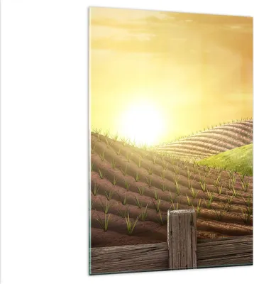Produktbild von Bilder auf glas - Einteilig - Morgen Bauernhof Feld Plantage - 80x120cm - Glasbilder - Wandbilder - Bilder - Wanddekoration aus Glas - Glas Bilder - Wandbild auf Glas - GPA80x120-2639