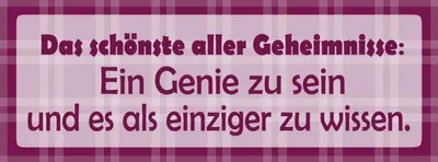 Produktbild von vianmo Holzschild 10x27 cm Schönste aller Gehimnisse Dekoration