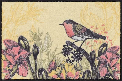Produktbild von Salonloewe GARDEN WHISPER Fußmatte Wohnmatte 50 x 75 cm