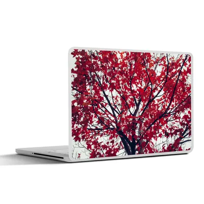 Produktbild von MuchoWow® Laptop Aufkleber Sticker Cover Ahorn - Blätter - Herbst - Natur 36.5x27.5 cm - Laptop-Sticker