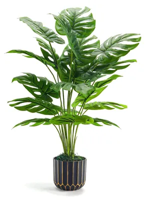 Image de Plante artificielle, plante artificielle très réaliste, 71 cm, grande plante artificielle pour décorer le salon, la salle de bains, la chambre et le balcon