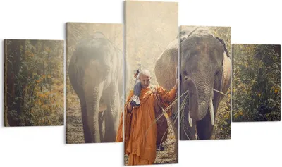 Produktbild von Bild auf Leinwand - Leinwandbild - Elefant Mönch Dschungel - 125x70cm - Wand Bild - Wanddeko - Leinwanddruck - Bilder - Kunstdruck - Wanddekoration - Leinwand bilder - Wandkunst - EA125x70-3453
