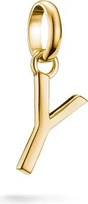 Produktbild von Thomas Sabo Charm Club Connect CC1231-413-39 Charm Anhänger