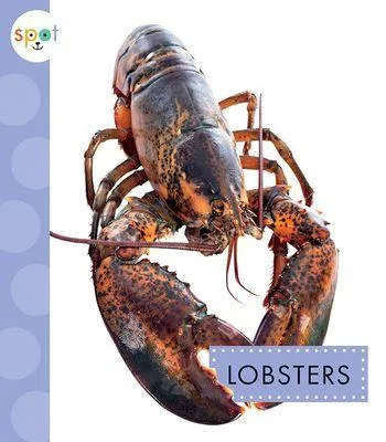Produktbild von Lobsters