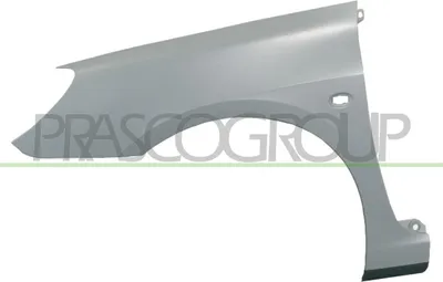 Produktbild von PRASCO PG4223014 Kotflügel Vorne Links passend für PEUGEOT 307 (3A/C) 307 SW (3H) 307 Break (3E)