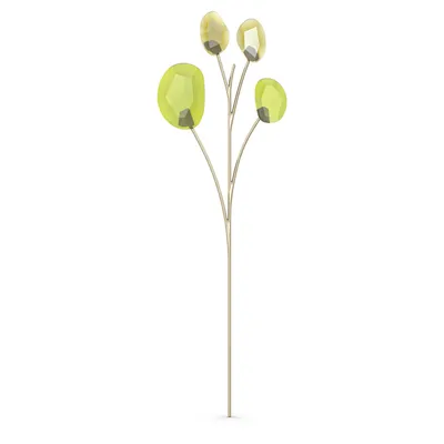 Produktbild von Swarovski GARDEN TALES EUCALYPTUS 5557803 Neuheit 2021