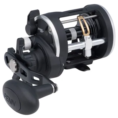 Produktbild von Penn Rival 20 Level Wind Reel - Rechtshand Multirolle