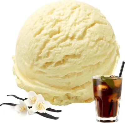Zdjęcie produktu dla Lody waniliowe w proszku 1 kg
