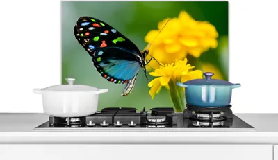 Produktbild von KitchenYeah®  Spritzschutz Küche - Küchenrückwand - Wandschutz für Herd und Spüle - Schmetterling - Blume - Tier - Insekt 60x40 - Alu-Dibond (Alternative zum Spritzschutz aus Glas) - Hitzebeständig -
