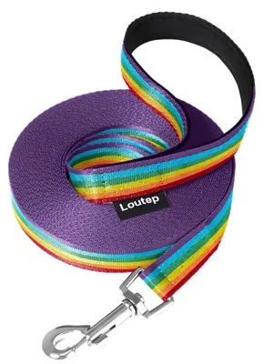 Immagine prodotto di Guinzaglio per l'addestramento dei cani - Extra lungo - 15 metri - Nylon