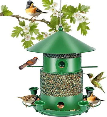 Image de Distributeur de nourriture en métal pour oiseaux sauvages - Vert