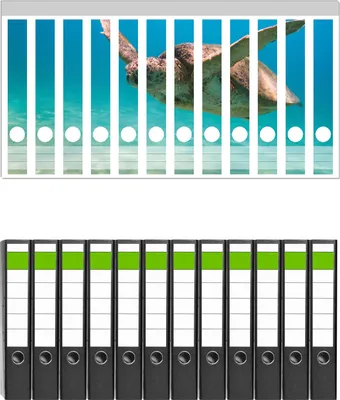 Produktbild von Wallario 12 Stück schmale Ordner inkl. Klebeetiketten mit Motive Meeresschildkröte -  Set mit Rückenschildern / Ordnerrücken Stickern