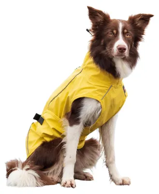 Immagine prodotto di Vimy mackintosh per cani giallo