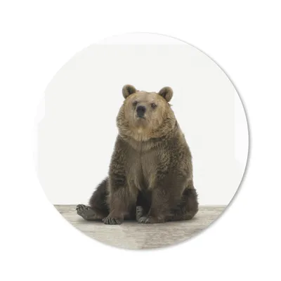 Produktbild von MuchoWow® Mauspad Mousepad Bär - Grizzly - Tiere 30x30 cm - Mousepads - Maus Mat - Pad - Mausunterlage - Tischunterlage - Schreibtischmatten