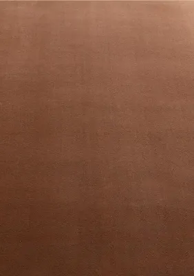 Produktbild von Kurzflor Teppich SKY Braun 120 cm x 170 cm