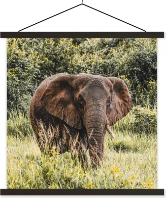 Produktbild von MuchoWow® Textilposter Elefant - Gras - Natur 120x120 cm mit schwarzem Rahmen - Aufhängungsset