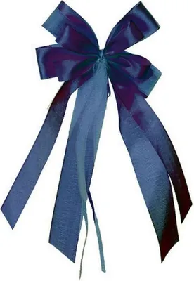 Produktbild von Nestler Geschenkschleife blau ca. 17 x 31 cm