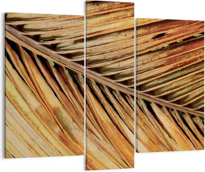 Produktbild von Bild auf Leinwand - Leinwandbild - 3 Teile - Orange Blatt Tropisch - 95x80cm - Wand Bild - Wanddeko - Wandbilder - Leinwanddruck - Bilder - Wanddekoration - Leinwand bilder - Wandbild - CB95x80-4876
