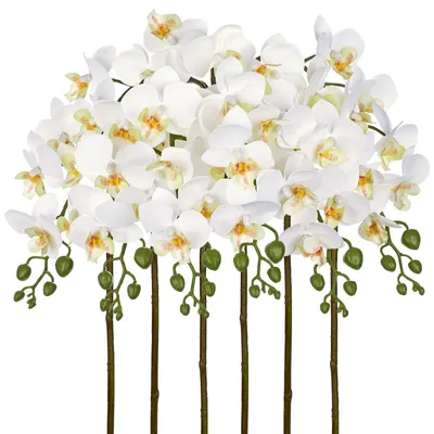 Künstliche Orchideen, 6er Set, Weiß, Kunstblumen für Vasen & Deko