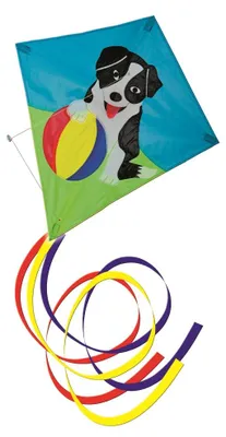 Produktbild von Einleinerdrachen Bobby 73x76cm, 1 Stück
