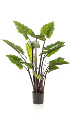 Produktbild von Künstliche Pflanze - Colocasia Rosa China - Olifantsoor - 130 cm