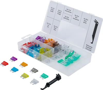 Zdjęcie produktu dla BGS technic Car Fuse Assortment, 220 mm, 220 g