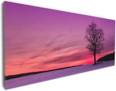 Produktbild von Wallario Premium Leinwandbild Mond und Baum am Abend bei Schnee in Größe 30 x 75 cm