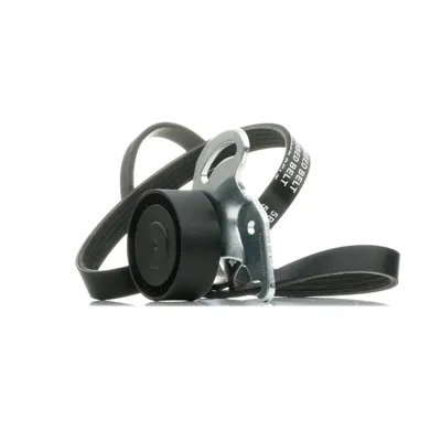 Produktbild von RIDEX 542R0231 Keilrippenriemensatz für RENAULT Clio III Schrägheck (BR0/1, CR0/1)