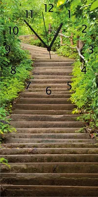 Produktbild von Wallario Design Wanduhr bedruckt, Größe 30 x 60 cm, Motiv: Steintreppe im Wald