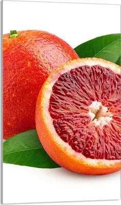 Produktbild von Herdabdeckplatte 30x52 Glaskeramikkochfeld Abdeckung Spritzschutz Glasplatte Deko Schneidebrett, Obst Grapefruit