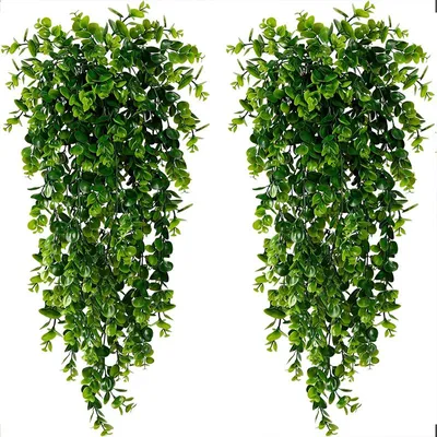 Produktbild von Künstliche Hängepflanze Eukalyptus 2er-Set ca. 80 cm Deko für Zuhause