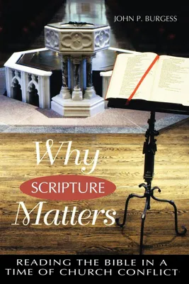 Produktbild von Why Scripture Matters