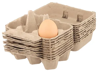 10er-Pack Eierkartons aus Karton, 6 Eier pro Box
