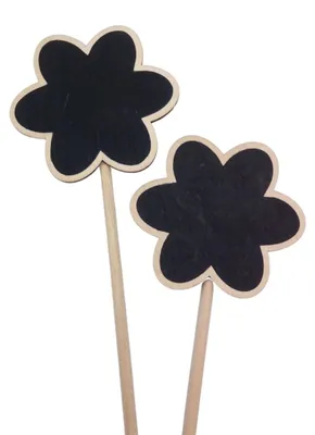 Image de Étiquettes de plantes Étiquettes à piquer Craie Jardin Étiquettes en bois Herbes Fleurs