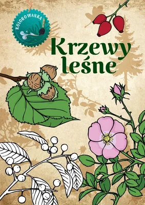 Immagine prodotto di Krzewy leśne kolorowanka - Katarzyna Kopiec Sekieta