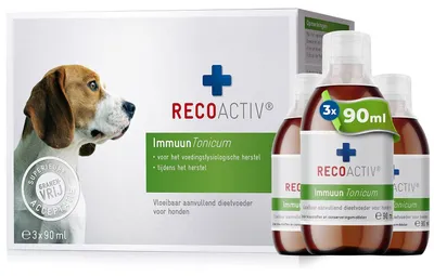 Immun-Tonikum für Hunde, 3 x 90 ml, zur Unterstützung des Immunsystems