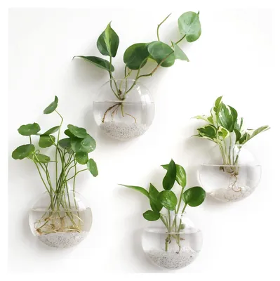 Zdjęcie produktu dla Szklane terrarium wiszące - Zestaw 4 szt. - Szkło - 13 cm średnica - Z hakami