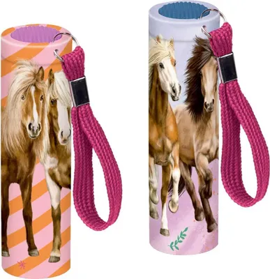 Produktbild von Coppenrath Verlag GmbH & Co.KG Kleine Taschenlampe - Pferdefreunde Sonstige